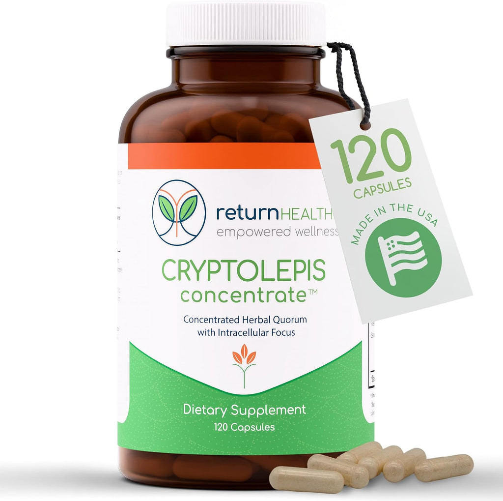 Return Healthy Cryptolepis Concentrate - 120 Cápsulas