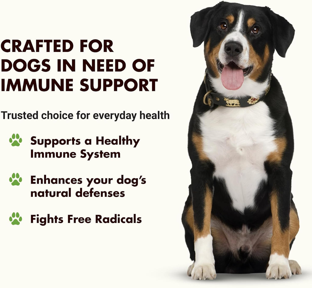 Immune Support for Dogs – Protección Antioxidante y Salud Intestinal – Con Inulina, Beta-Glucano, Omega-3 y Más