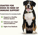 Immune Support for Dogs – Protección Antioxidante y Salud Intestinal – Con Inulina, Beta-Glucano, Omega-3 y Más