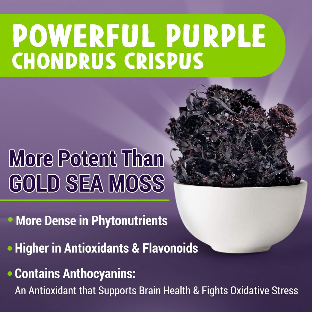 MAJU's Powerful Purple Sea Moss Capsules (60 ct) - Musgo Marino Púrpura Extra Fuerte