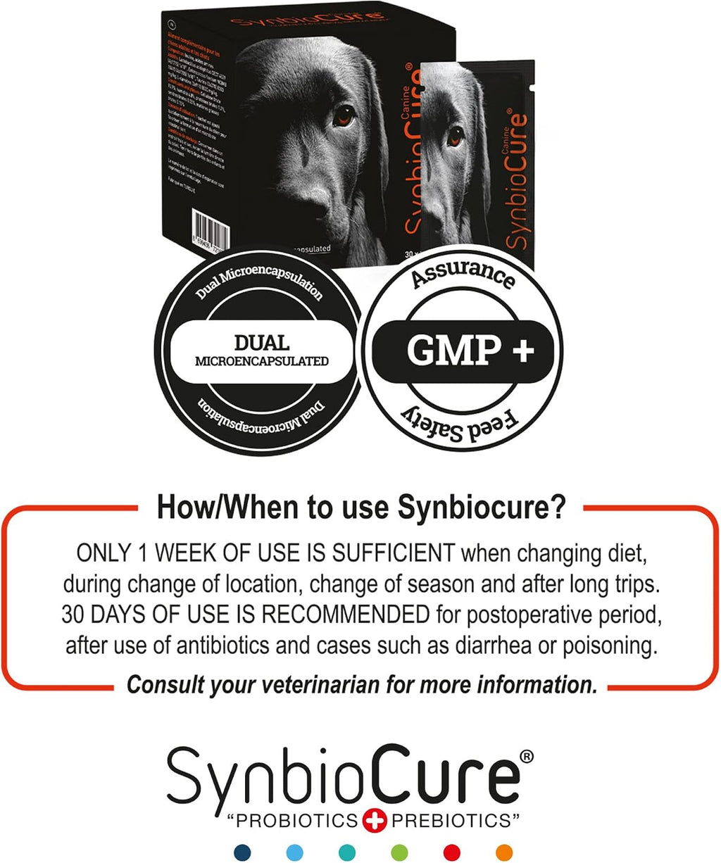 SynbioCure Probióticos y Prebióticos para Perros | Polvo | 200 Mil Millones de Bacterias por Sobre | 30 Sobres de 2 g