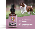 Winnie & Lottie Colágeno Líquido para Perros - Sabor a Bacon, 30 ml