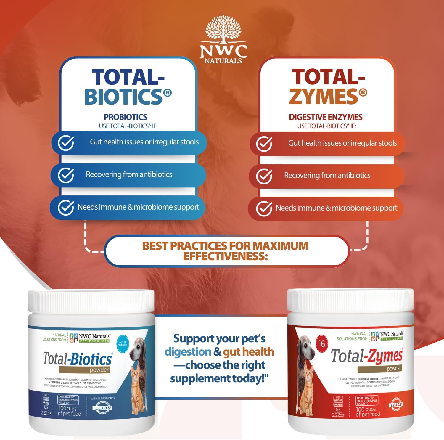 Mini Paquete Doble de Probióticos para Perros y Gatos, Polvo de Enzimas Digestivas, Suplemento Probiótico Canino, Apoyo Digestivo, 62.8 g Cada Uno