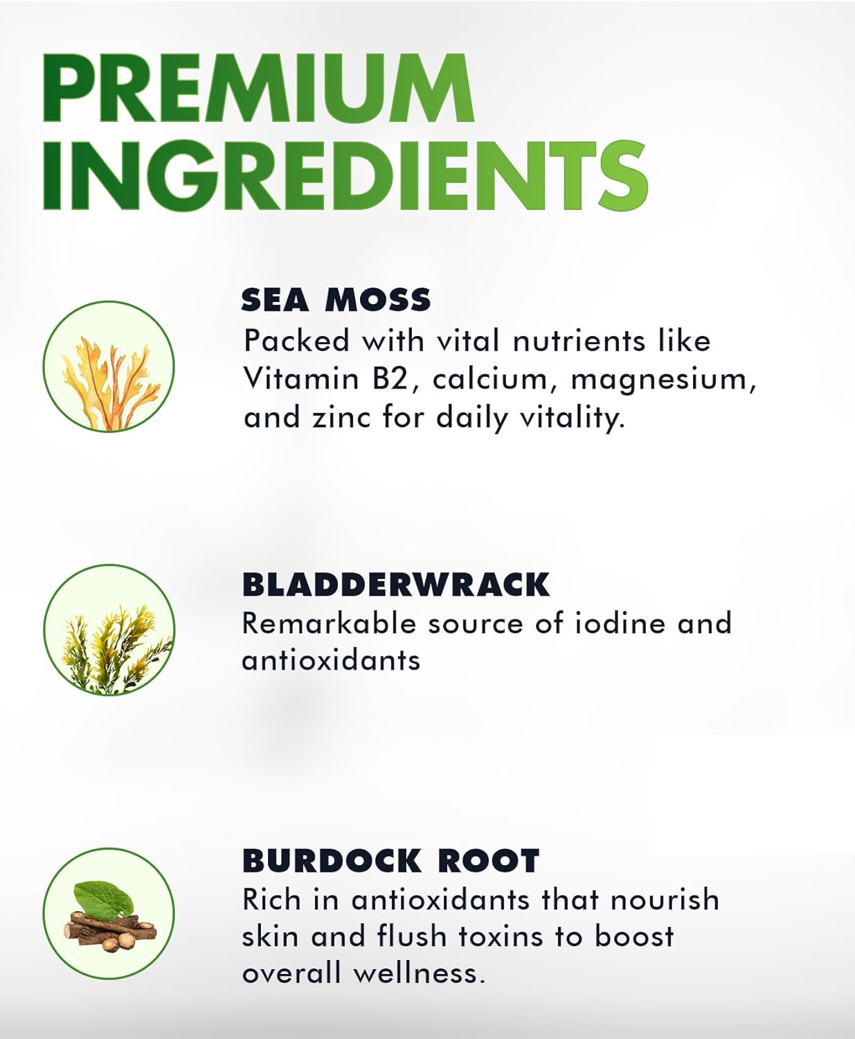 Gominolas de Sea Moss BIO VITALICA - Irish Moss Orgánico, Bladderwrack, Burdock Root