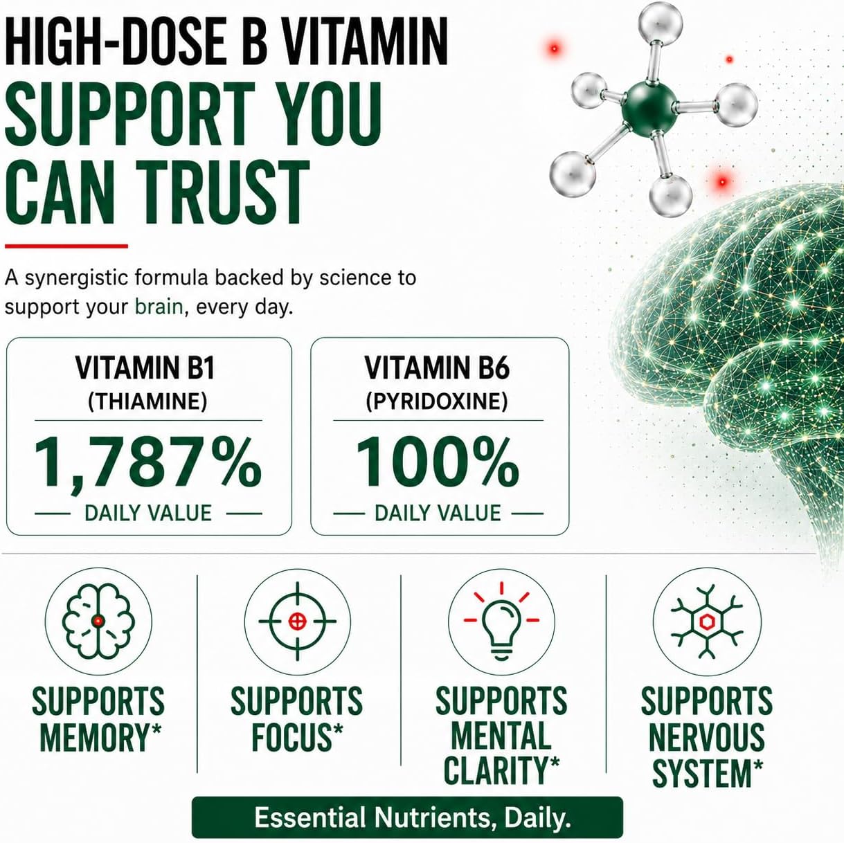 Complemento para la Memoria y Concentración con Vitamina B6 y Tiamina | Vitaminas B de Alta Dosis para el Sistema Nervioso y la Salud Cognitiva, Fórmula Diaria para Adultos, 60 Comprimidos (Pack de 2)