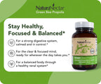 NaturaNectar - Green Bee Propolis Capsules - NSF Certified Brazilian Green Propolis - Gluten Free - 60 Capsules