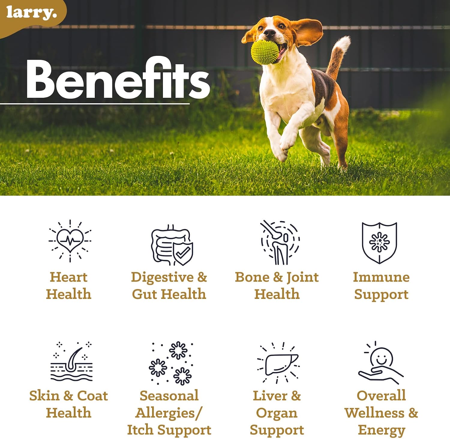 Multivitamínico 8-en-1 para Perros Larry | 120 Chewables Blandos