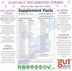 Gut Mate® Probióticos – 20 Cepas, Tecnología BIO-Tract