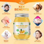 OALSE Gel de Musgo Marino Sabor Mango y Piña - 525 g - Suplemento Natural con 102 Minerales