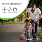 NaturesPlus Ultra One Daily Sin Hierro - 90 Cápsulas - Multivitamínico y Mineral con Betacaroteno - Vegano, Sin Gluten