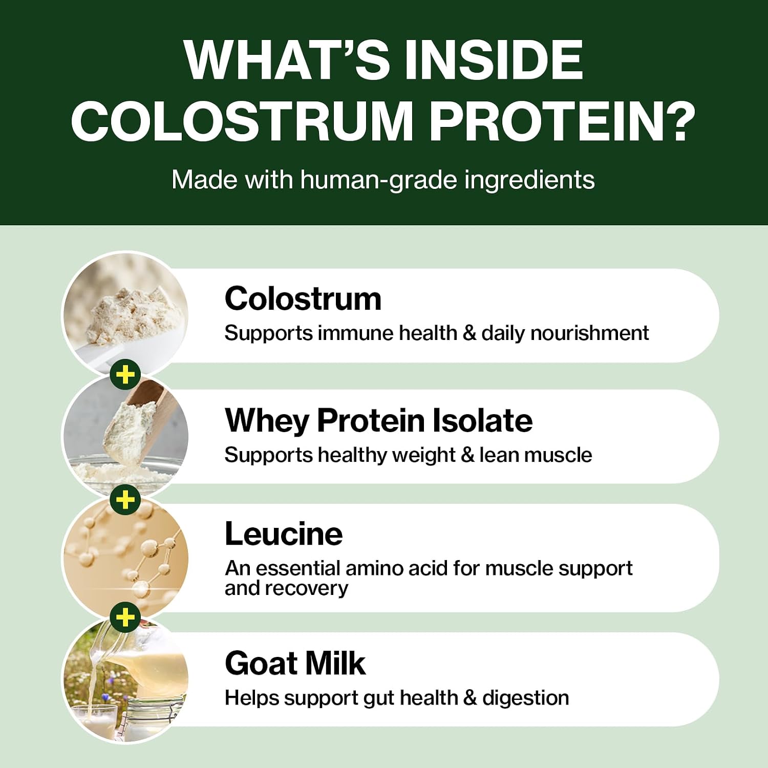 Doctor By Colostrum Protein para Perros y Cachorros – Suplemento de Proteína para Ganancia de Peso y Sistema Inmunitario – 30 Tubos