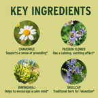 Banyan Botanicals Organic Tranquil Mind – 90 Comprimidos – Suplemento para el Sistema Nervioso y Relajación Física