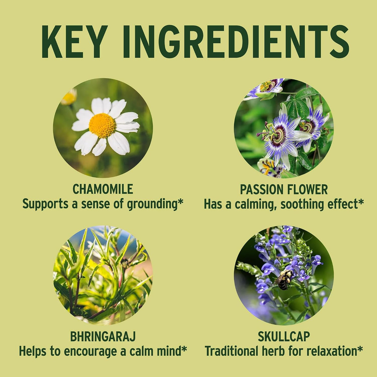 Banyan Botanicals Organic Tranquil Mind – 90 – Passionflower (Passiflora incarnata): Conocida por sus propiedades – Image 2