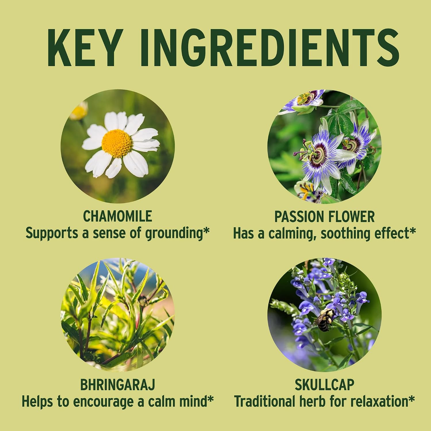 Banyan Botanicals Organic Tranquil Mind – 90 Comprimidos – Suplemento para el Sistema Nervioso y Relajación Física