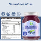 SumDIP Sea Moss Gel de Arándanos Azules - 18.5oz (524g) - Suplemento Natural de Vitaminas y Minerales