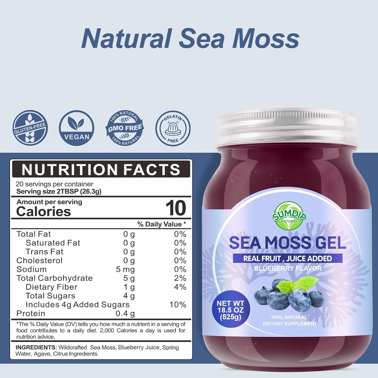 SumDIP Sea Moss Gel de Arándanos Azules - 18.5oz (524g) - Suplemento Natural de Vitaminas y Minerales
