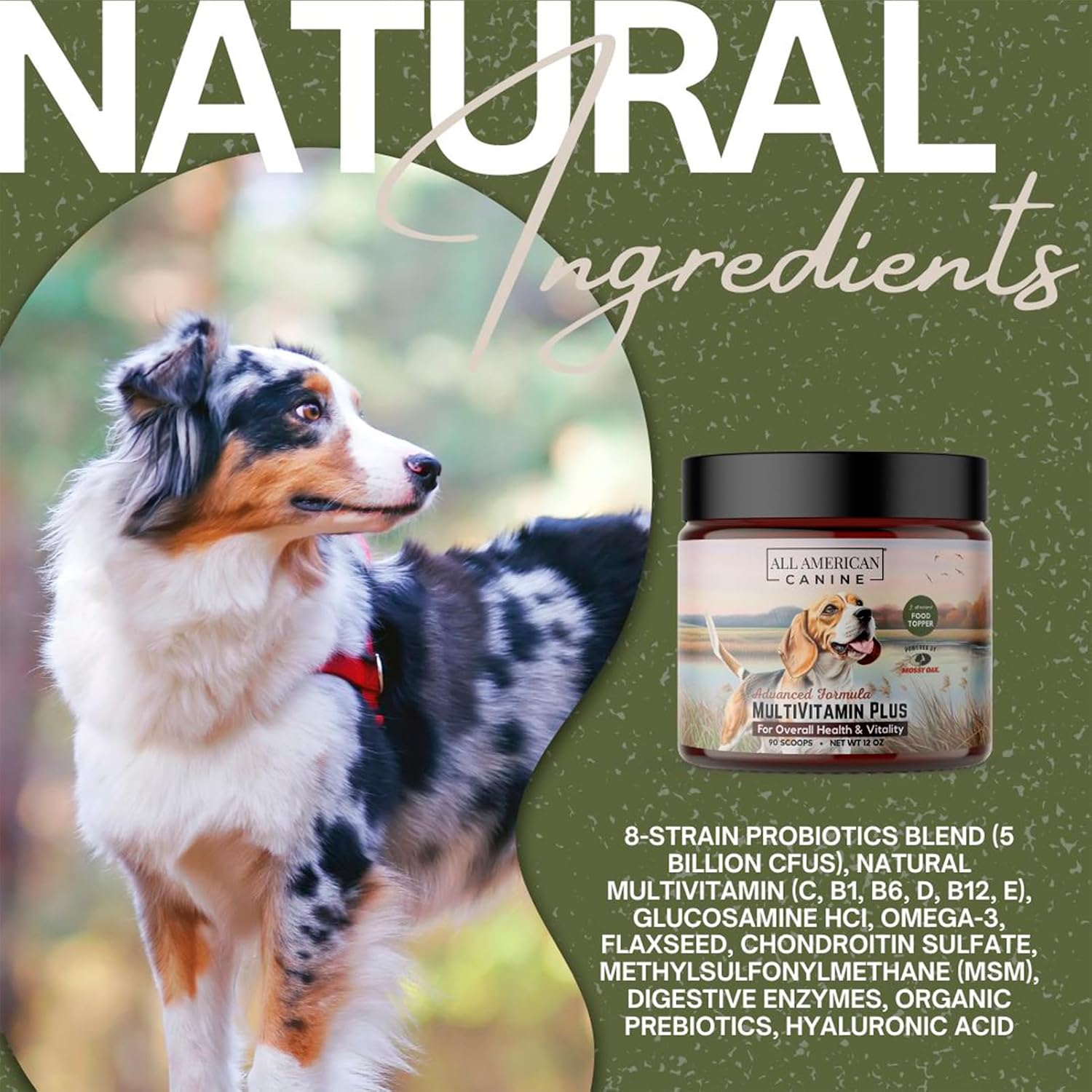 All American Canine Multivitamin Powder - Glucosamina y Condroitina para Articulaciones, Enzimas Digestivas y Probióticos, Sabor a Carne de Res, 90 Servicios