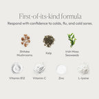 Simplix | Suplemento Natural para Fortalecer el Sistema Inmune | 60 Cápsulas Veganas