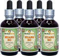 Extracto de Huang Bo (Phellodendron Chinense) Glicerita sin Alcohol - 5x60 ml
