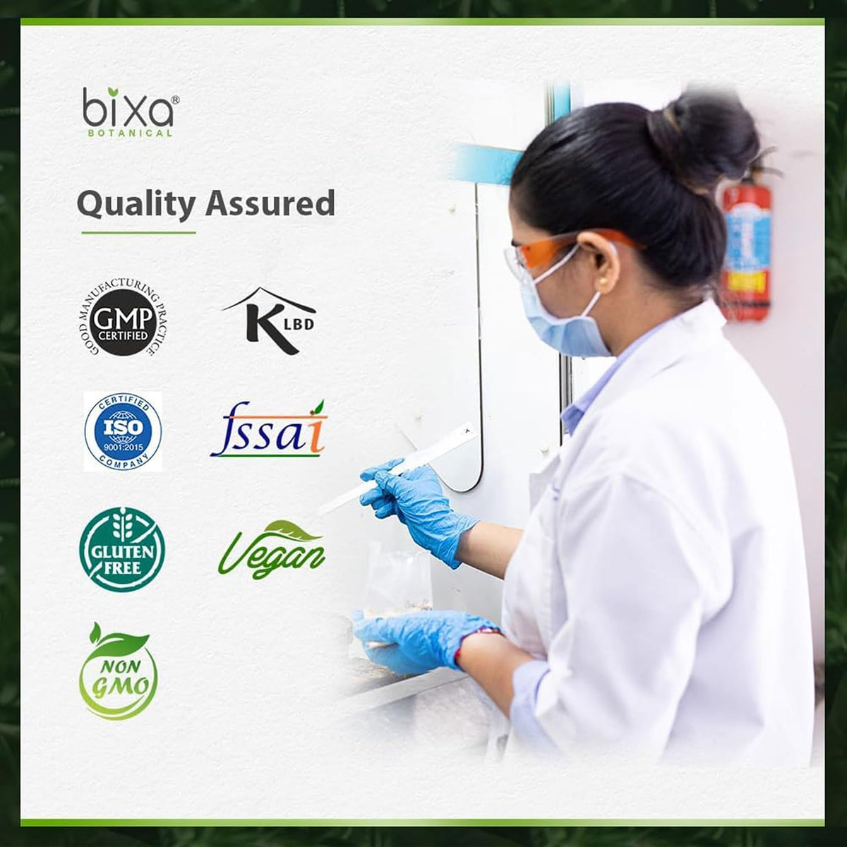 Safed Musli Powder - Chlorophytum Borivilianum - 200g – Image 8