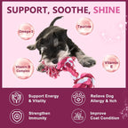 Probióticos para Perros con 6 Mil Millones UFC, Prebióticos y Enzimas Digestivas, Calabaza y Omega-3, 120 Masticables Suaves