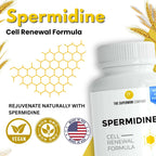 Spermidine Supplement – 60 Cápsulas Vegetales – Extracto de Germen de Trigo con 1000 mg de Espermidina y BioPerine