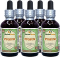 African Cherry Pygeum (Prunus Africana) Glycerite - Extracto Líquido Sin Alcohol 5x60 ml