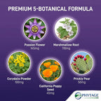 Phytage Labs Nerve Control 911 – Complemento Botánico Avanzado para el Sistema Nervioso – 60 Cápsulas