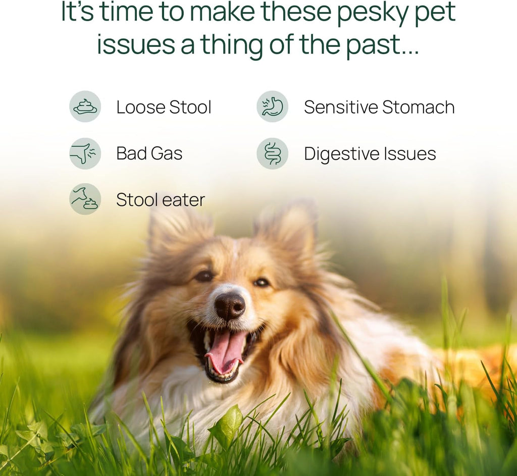 pawTree Gastro Pro Plus® Probióticos para Perros y Gatos - 60 comprimidos