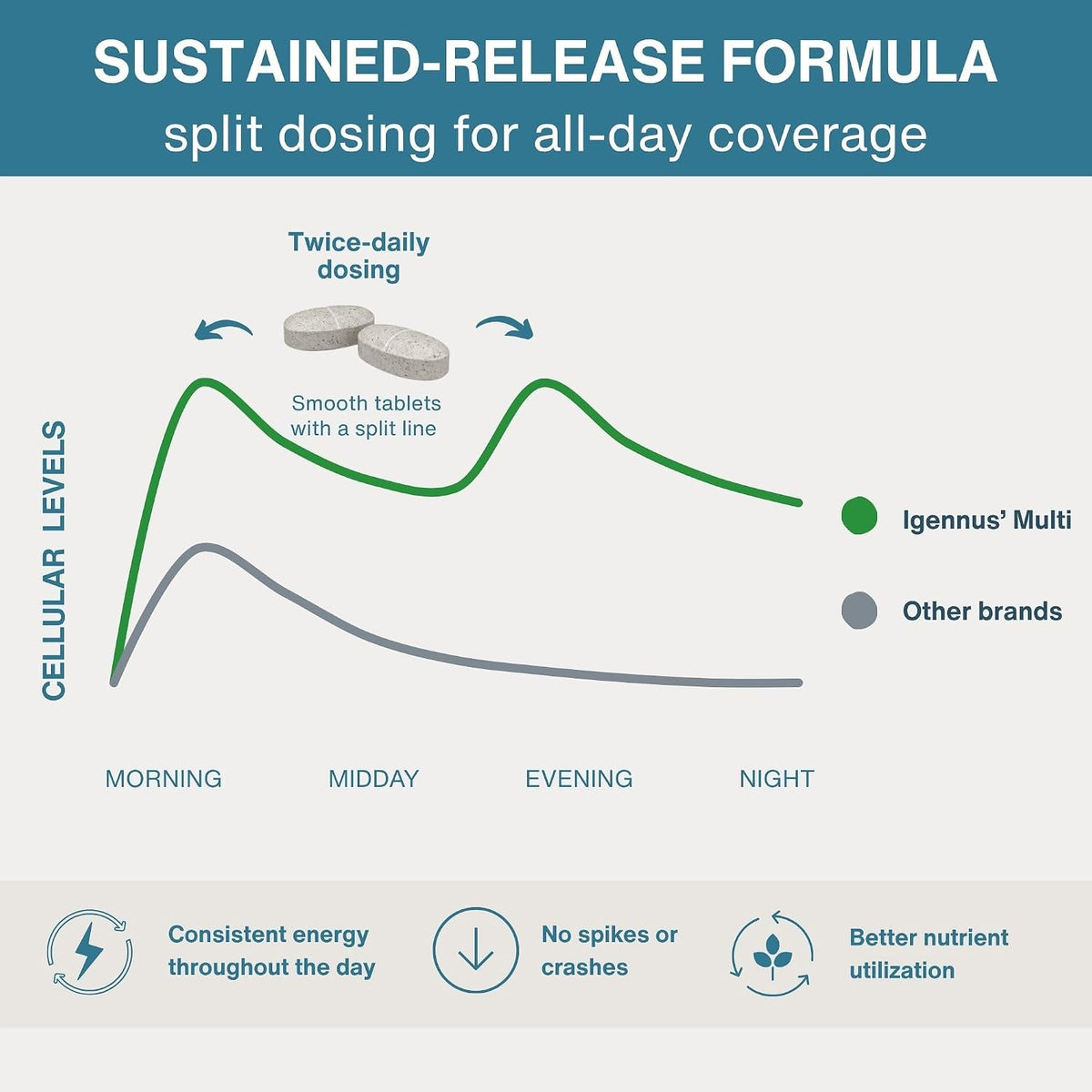 Igennus High Potency Methylated Multivitamin – Formación de glóbulos rojos: El hierro contribuye a la formación – Image 5