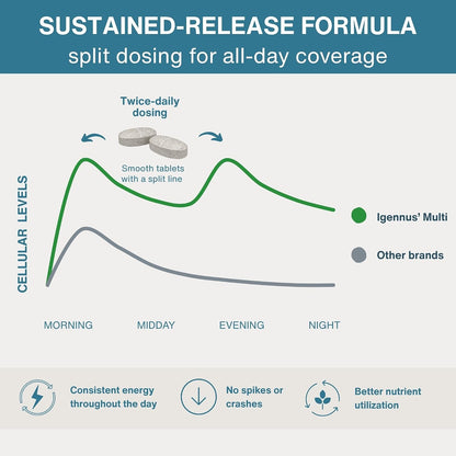 Igennus High Potency Methylated Multivitamin – Formación de glóbulos rojos: El hierro contribuye a la formación – Image 5