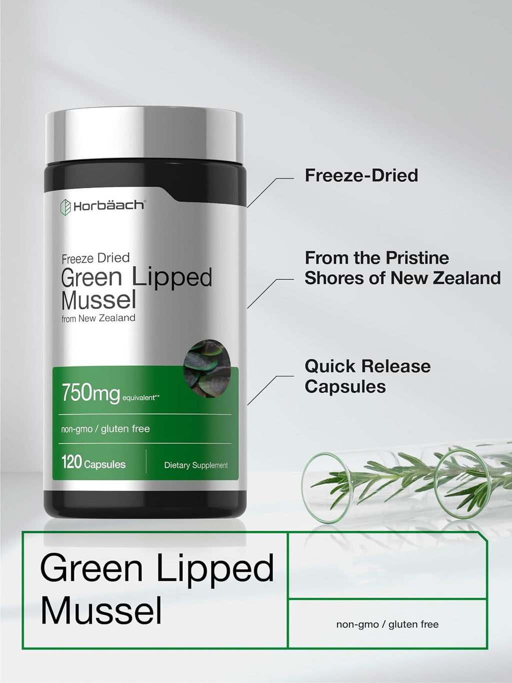 Horbäach Mejillón de Labios Verdes, 120 Cápsulas - Polvo Freeze-Dried de Nueva Zelanda