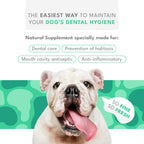 Natural PET Biodent Complemento Nutricional para Perros, Sabor Pollo y Finas Hierbas, 30 Sobres