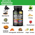 AyBet Shilajit Orgánico Himalayo - 15 Ingredientes - 120 Cápsulas