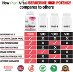 Plantvital Berberina 1200mg (2 cápsulas) - 240 Cápsulas Veganas, No OGM