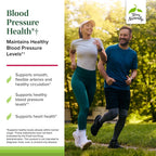 Terry Naturally Blood Pressure Health – Apoyo para la Presión Arterial y Circulación Sanguínea, 60 Cápsulas