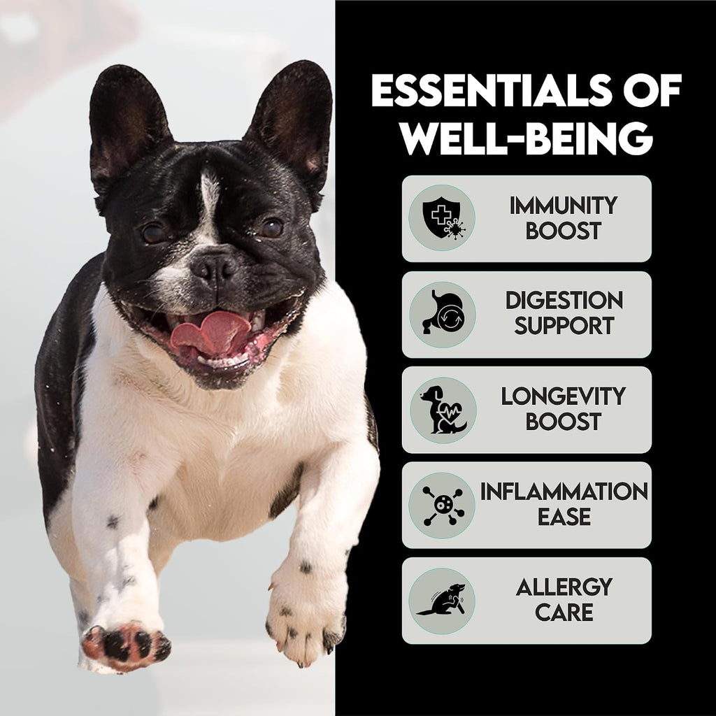 Frenchies vs Mushrooms - Turkey Tail Mushroom for Dogs, Omega-3 & Turmeric | Immune support Mushroom Supplement For Dogs. Helps with digestion, allergies, longevity, lumps & bumps. Frenchie optimized.