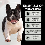 Frenchies vs Mushrooms - Turkey Tail Mushroom for Dogs, Omega-3 & Turmeric | Immune support Mushroom Supplement For Dogs. Helps with digestion, allergies, longevity, lumps & bumps. Frenchie optimized.