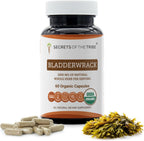 Secrets of the Tribe Bladderwrack USDA Orgánico Cápsulas Vegetales | Suplemento Herbal de Fucus vesiculosus (60 Cápsulas)