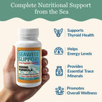 Maine Coast Sea Vegetables Seaweed Support Fórmula de Yodo | Fuente de Yodo de Algas Marinas | Suplemento Diario de Yodo | Mezcla Orgánica de Alaria, Rockweed, Sea Lettuce, Dulse y Bladderwrack | 60 Cápsulas