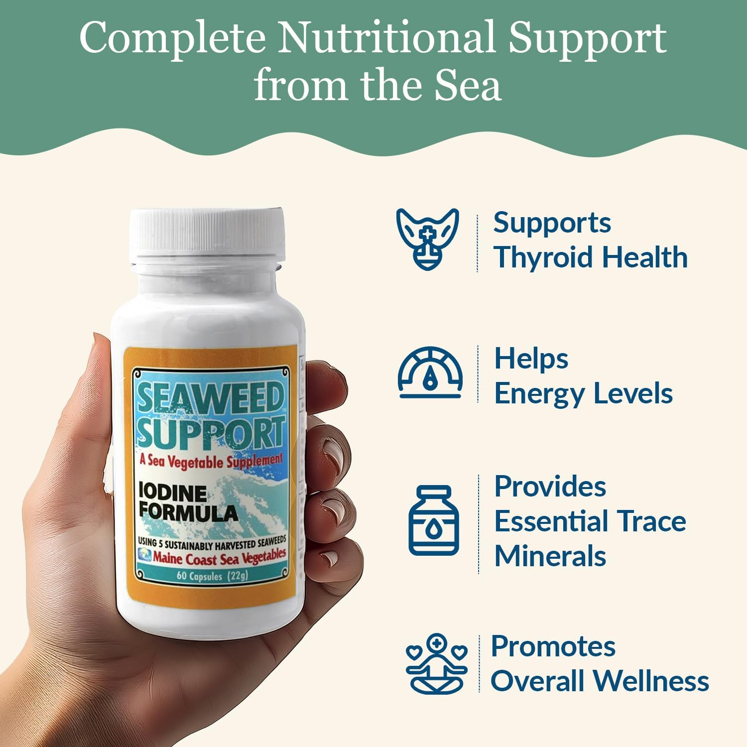 Maine Coast Sea Vegetables Seaweed Support Fórmula de Yodo | Fuente de Yodo de Algas Marinas | Suplemento Diario de Yodo | Mezcla Orgánica de Alaria, Rockweed, Sea Lettuce, Dulse y Bladderwrack | 60 Cápsulas