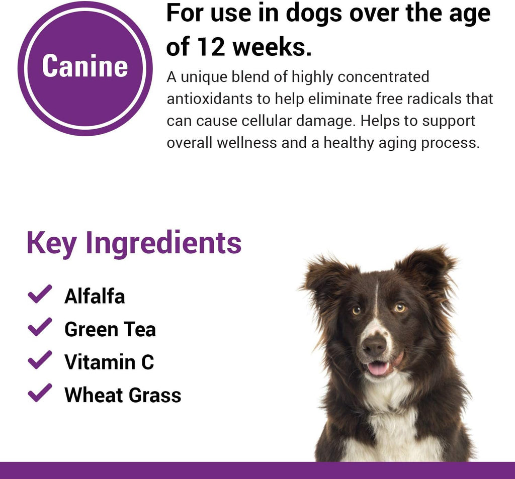 Vet Classics Coenzyme Q-10 Antioxidant for Dogs - 120 Chewable Tablets