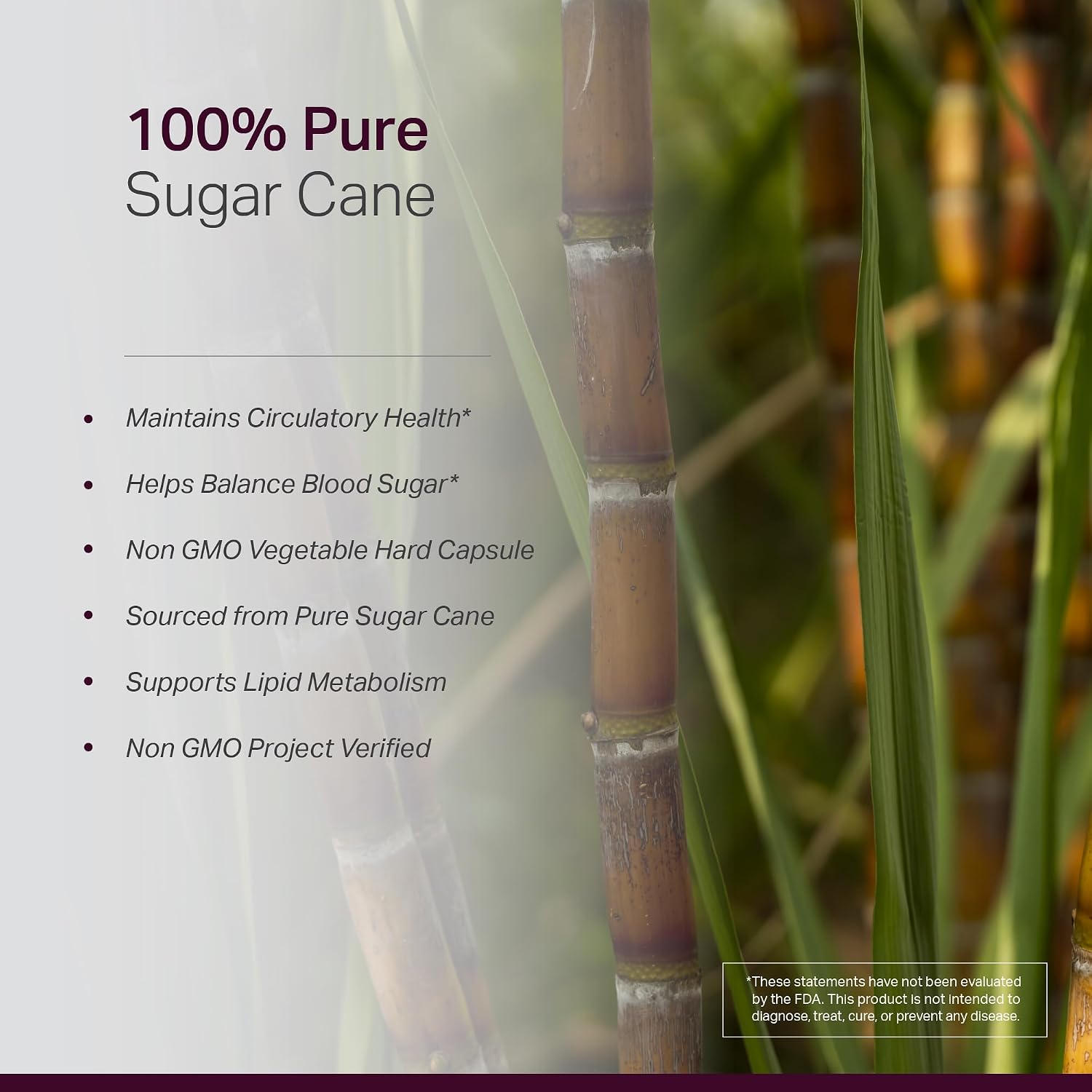 Anew Vita Policosanol 40 mg - 120 Cápsulas Vegetales - Complemento Alimenticio de Policosanol de Caña de Azúcar Cubana - No GMO, Sin Gluten