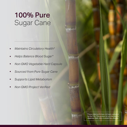 Anew Vita Policosanol 40 mg - 120 Cápsulas Vegetales - Complemento Alimenticio de Policosanol de Caña de Azúcar Cubana - No – Image 5