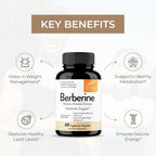 Sandhu's Berberina HCL 500mg por cápsula - 60 Cápsulas - Extracto de Berberis Aristata al 97% - Sin OGM, Vegetariano, Sin Gluten