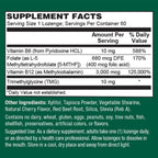 PlantFusion Vegan B12 Methyl 3000 mcg + Folate 400 mcg - Vitamina B12 Sublingual - 60 Pastillas - Sabor Cereza