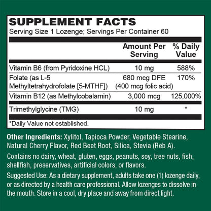 PlantFusion Vegan B12 Methyl 3000 mcg + – El funcionamiento normal del sistema nervioso – Image 2