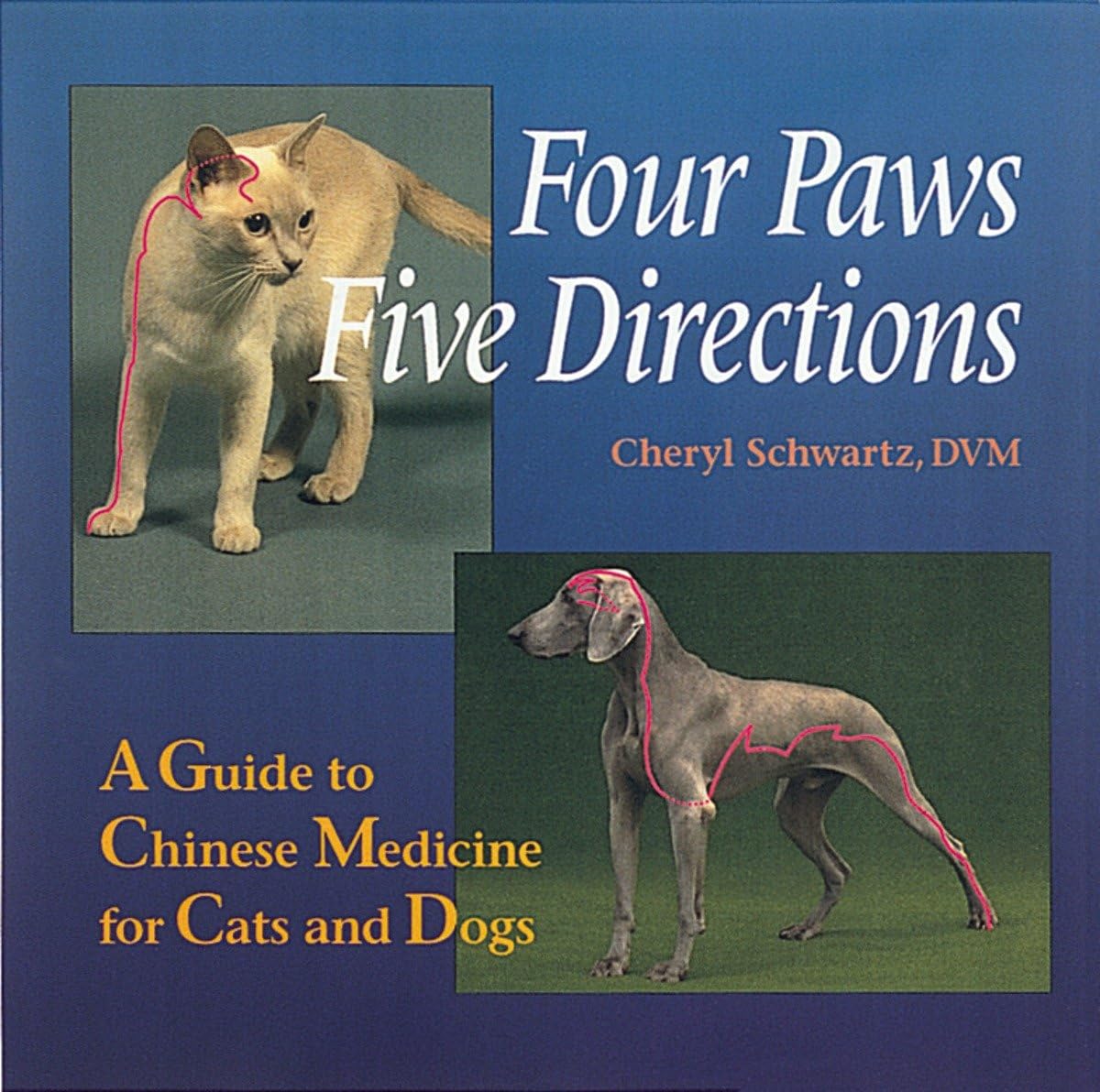 Cuatro patas, cinco direcciones: una guía de medicina china para gatos y perros