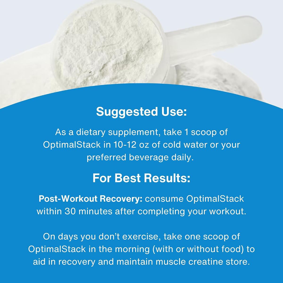 OptimalStack Creatine Monohydrate, HMB y Vitamina D3 - 30 Servicios – Image 7