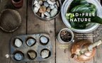 Wild and Free Nature: 25 aventuras al aire libre para niños
